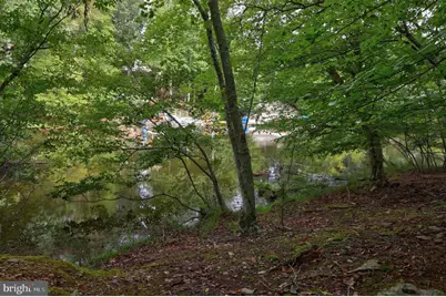 Jefferson Drive, Palmyra, VA 22963 - Photo 7