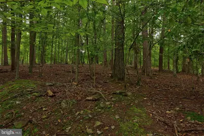 Jefferson Drive, Palmyra, VA 22963 - Photo 5