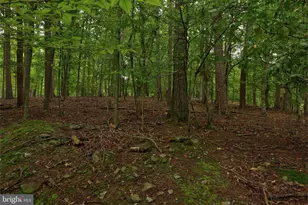 Jefferson Dr, Palmyra, VA 22963 - Photo 5