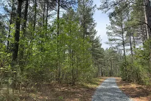 Tbd 1 Covered Bridge Rd, Kents Store, VA 23084 - Photo 1