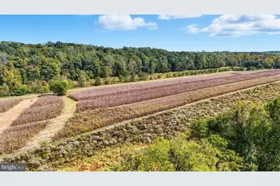 14 Mechunk Terrace, Palmyra, VA 22963 - Photo 11