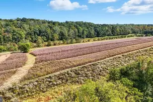 14 Mechunk Terrace, Palmyra, VA 22963 - Photo 11