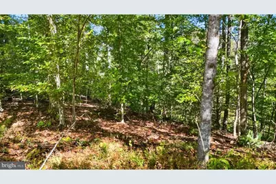 14 Mechunk Terrace, Palmyra, VA 22963 - Photo 9