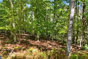 14 Mechunk Terrace, Palmyra, VA 22963 - Photo 9