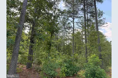 Dogwood Drive (Tract: Jr Bedford-Bowles_Sim-3), Columbia, VA 23038 - Photo 5
