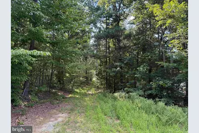 Dogwood Drive (Tract: Jr Bedford-Bowles_Sim-3), Columbia, VA 23038 - Photo 3