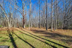 589 Three Chopt Rd, Kents Store, VA 23084 - Photo 5