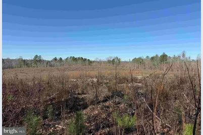 Winnsville Drive (Tract: Tanager Et2 2021), Bremo Bluff, VA 23022 - Photo 9