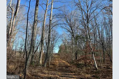 Winnsville Drive (Tract: Tanager Et2 2021), Bremo Bluff, VA 23022 - Photo 11