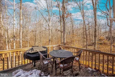 11 Horseback Lane, Palmyra, VA 22963 - Photo 67