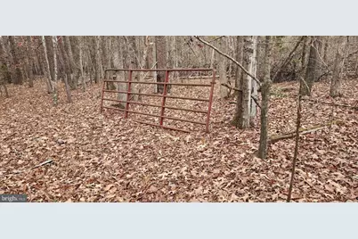 1064 Hunters Lodge Road, Troy, VA 22974 - Photo 21