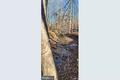 1064 Hunters Lodge Road, Troy, VA 22974 - Photo 17