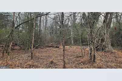 1064 Hunters Lodge Road, Troy, VA 22974 - Photo 17