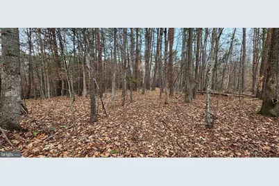 1064 Hunters Lodge Road, Troy, VA 22974 - Photo 21