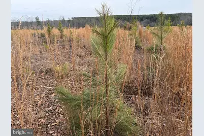 1 Community House Rd, Kents Store, VA 23084 - Photo 33