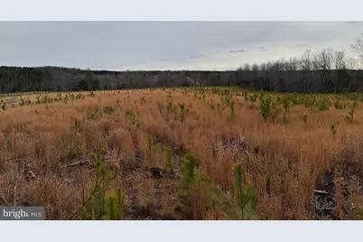 1 Community House Rd, Kents Store, VA 23084 - Photo 37