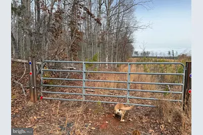 1 Community House Rd, Kents Store, VA 23084 - Photo 41