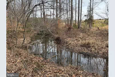 1 Community House Rd, Kents Store, VA 23084 - Photo 19