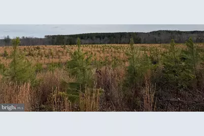 1 Community House Rd, Kents Store, VA 23084 - Photo 45