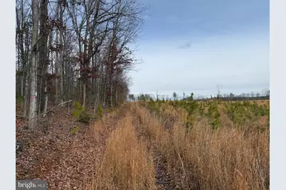 1 Community House Rd, Kents Store, VA 23084 - Photo 39