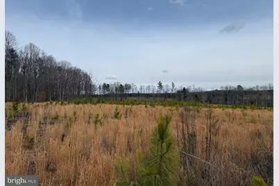 1 Community House Rd, Kents Store, VA 23084 - Photo 35