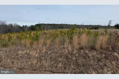 1 Community House Rd, Kents Store, VA 23084 - Photo 7