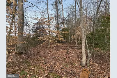 1 Community House Rd, Kents Store, VA 23084 - Photo 17