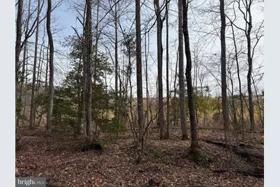 1 Community House Rd, Kents Store, VA 23084 - Photo 3