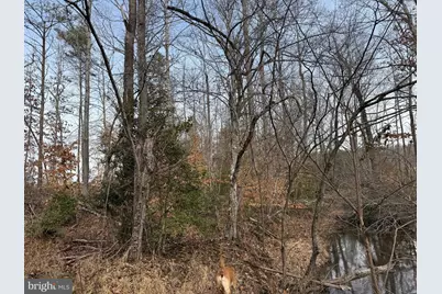 1 Community House Rd, Kents Store, VA 23084 - Photo 21