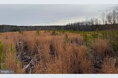 1 Community House Rd, Kents Store, VA 23084 - Photo 31