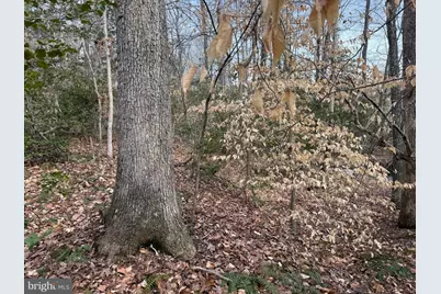 1 Community House Rd, Kents Store, VA 23084 - Photo 15