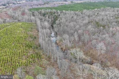 West River Road (Tract: Jr C.B. Moon-2), Scottsville, VA 24590 - Photo 9