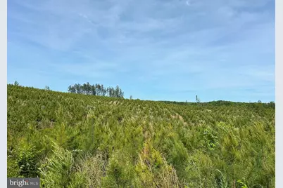 West River Road (Tract: Jr C.B. Moon-2), Scottsville, VA 24590 - Photo 11