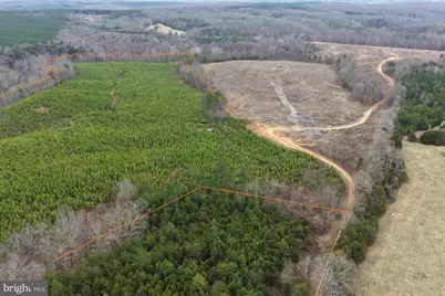 West River Road (Tract: Jr C.B. Moon-2), Scottsville, VA 24590 - Photo 3