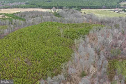 West River Road (Tract: Jr C.B. Moon-2), Scottsville, VA 24590 - Photo 5