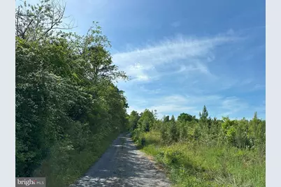 West River Road (Tract: Jr C.B. Moon-2), Scottsville, VA 24590 - Photo 13