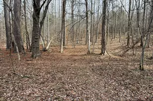 575 Perkins Rd, Kents Store, VA 23084 - Photo 85