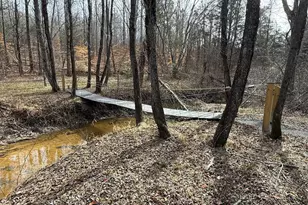 575 Perkins Rd, Kents Store, VA 23084 - Photo 17