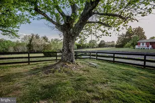575 Perkins Rd, Kents Store, VA 23084 - Photo 9
