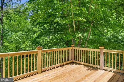 18 Chickasaw Place, Palmyra, VA 22963 - Photo 45