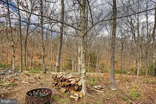 18 Chickasaw Pl, Palmyra, VA 22963 - Photo 55