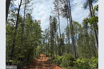 West River Road (Tract: Jr Sadie Flanagan-1), Fork Union, VA 23055 - Photo 11