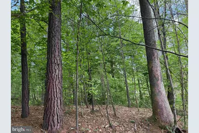 West River Road (Tract: Jr Sadie Flanagan-1), Fork Union, VA 23055 - Photo 13