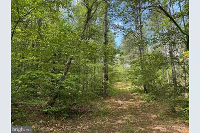 West River Road (Tract: Jr Sadie Flanagan-1), Fork Union, VA 23055 - Photo 7