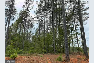 West River Road (Tract: Jr Sadie Flanagan-2), Fork Union, VA 23055 - Photo 5