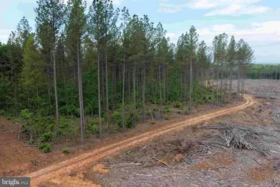 West River Road (Tract: Jr Sadie Flanagan-2), Fork Union, VA 23055 - Photo 7