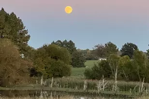 11221 Bristersburg Rd, Catlett, VA 20119 - Photo 59