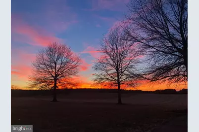 11221 Bristersburg Road, Catlett, VA 20119 - Photo 107