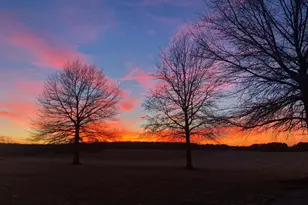 11221 Bristersburg Rd, Catlett, VA 20119 - Photo 107