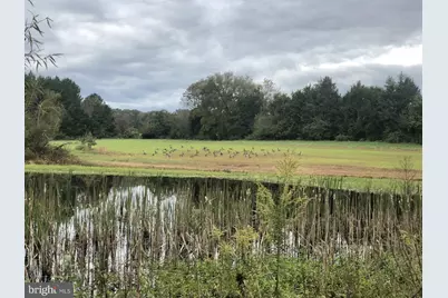 11221 Bristersburg Road, Catlett, VA 20119 - Photo 63